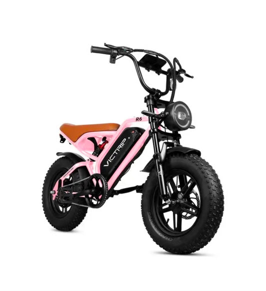 VICTRIP R6 750W Electric Mountain Bike – 48V 15Ah Battery | 1000W Peak Motor | 85Nm Torque