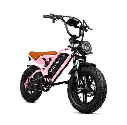 VICTRIP R6 750W Electric Mountain Bike – 48V 15Ah Battery | 1000W Peak Motor | 85Nm Torque