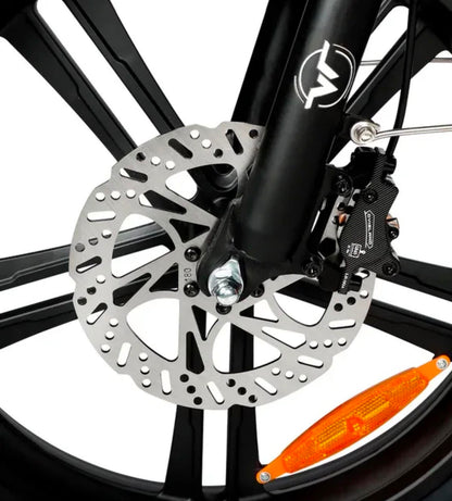 VICTRIP R5 Foldable Electric Bike – 250W Motor | 48V 20Ah LG Battery | 20" Fat Tires | Up to 100KM Range